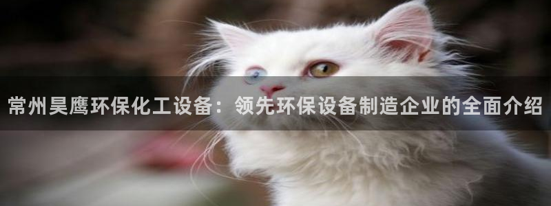 美獅貴賓會官方網下載